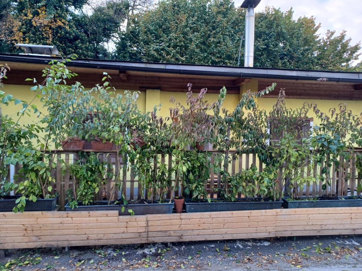 Binderhaeusl Casa vacanze Salisburgo